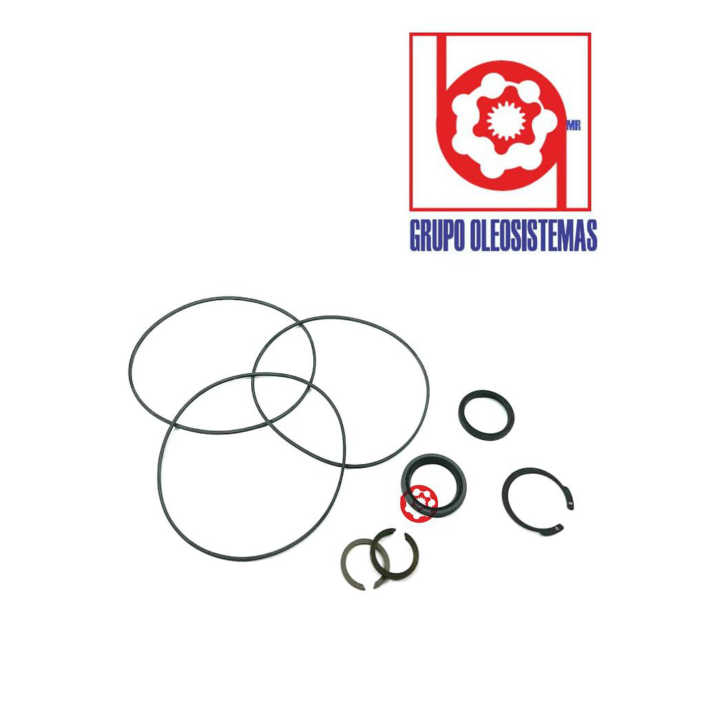 KIT DE SELLOS PARKER MOTOR NICHOLSON 110A