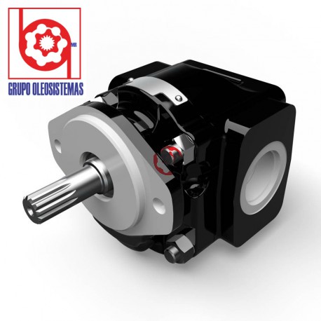 BOMBA ENGRANES HEAVY MOTION P5B6B14DS20