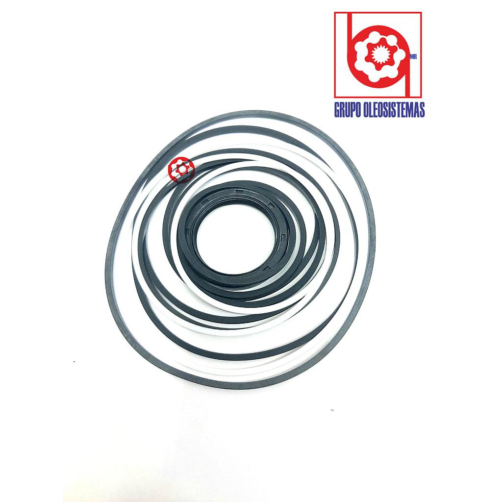 KIT DE SELLOS DENISON T6DCC COMPLETO