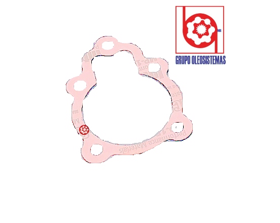EMPAQUE SUNDSTRAND M46 PISTONES 4460413 GASKET