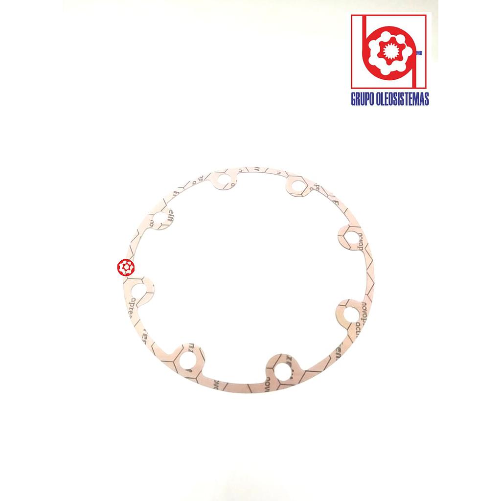 EMPAQUE SAUER  MOTOR 51/080