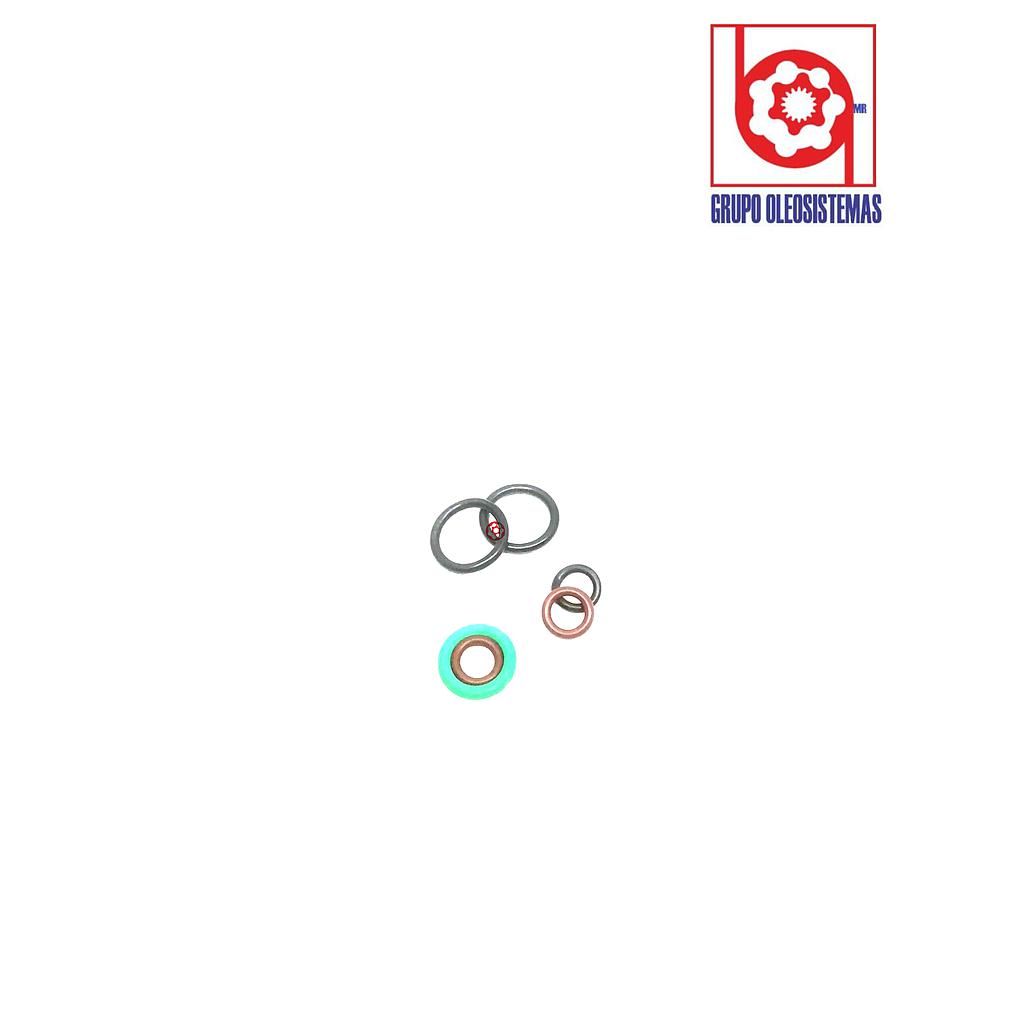 EMPAQUE SUNDSTRAND MOTOR 51/060 16 (E1-5,F1-2H) KI