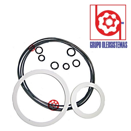 KIT DE SELLOS CHARLYNN SERIE 6000 TRASERO