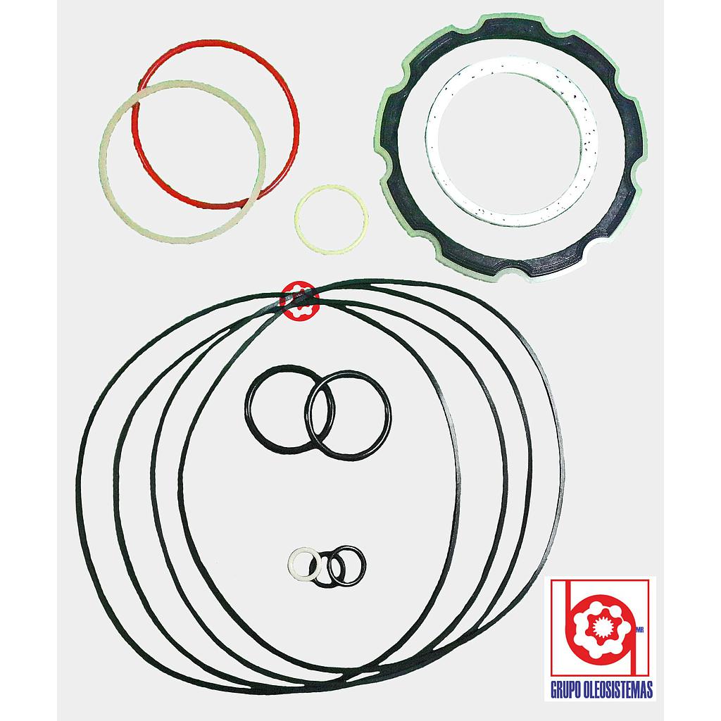 KIT DE SELLOS CHARLYNN MOTOR BIS 45