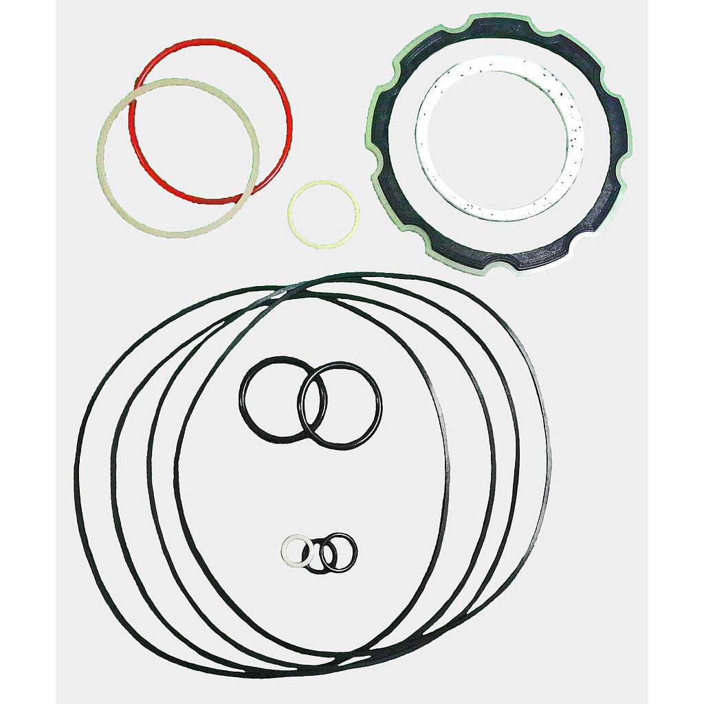 KIT DE SELLOS CHARLYNN MOTOR VIS 30 155 003/177