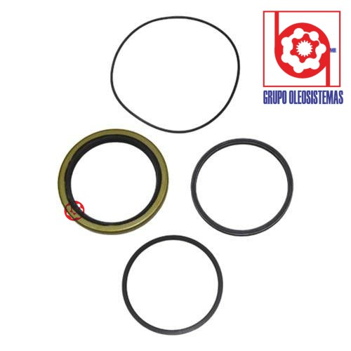 KIT DE SELLOS CHARLYNN SERIE 10000 FRONTAL