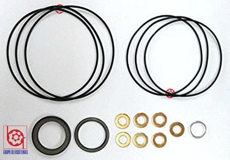 KIT DE SELLOS SAUER DANFOSS MOTOR SERIES DH -NBR