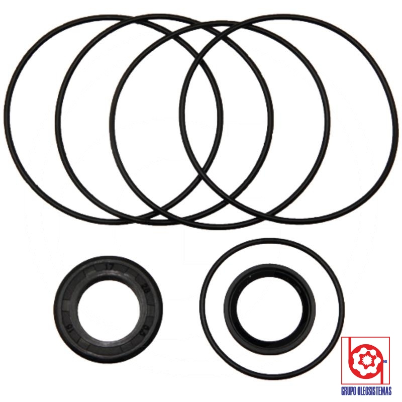 KIT DE SELLOS SAUER DANFOSS MOTOR
