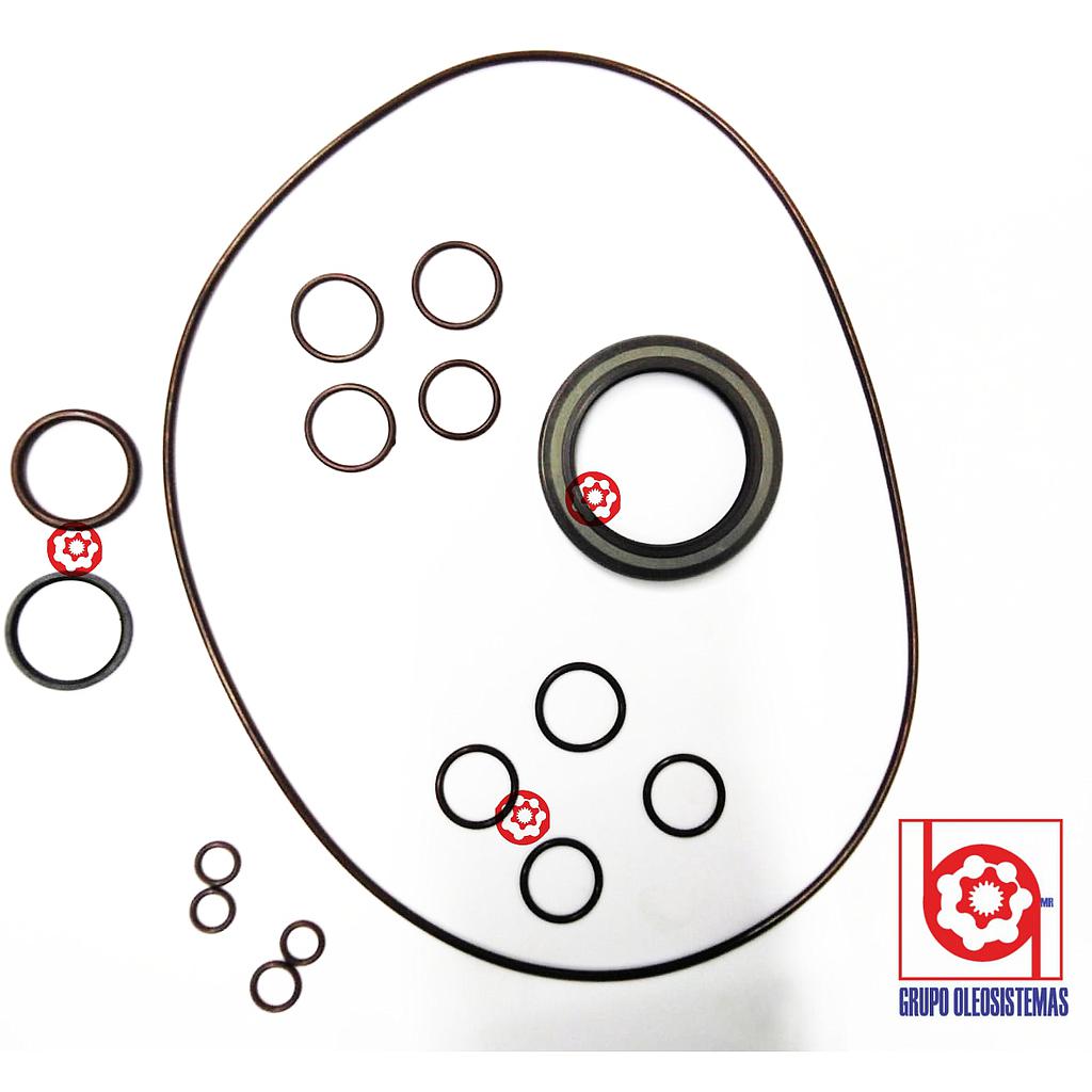 KIT DE SELLOS REXROTH A10V100 VITON CON GASKET Y SEGURO