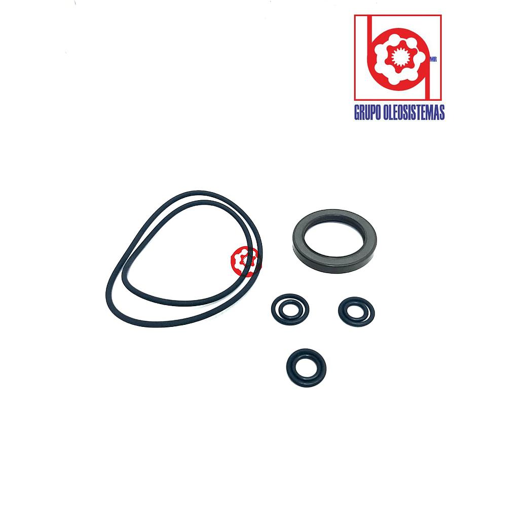 KIT DE SELLOS REXROTH MOTOR A2F56/63 M/O/E VITON