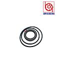 KIT DE SELLOS REXROTH MOTOR 2F107/125 M/0/E VITON