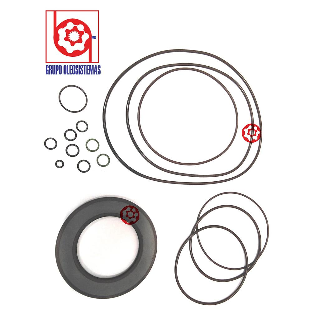 KIT DE SELLOS REXROTH AA4VG250 SIN RONADAS