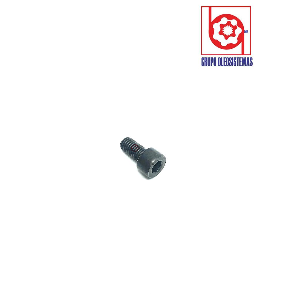 TORNILLO MOTOR REXROTH PISTONES