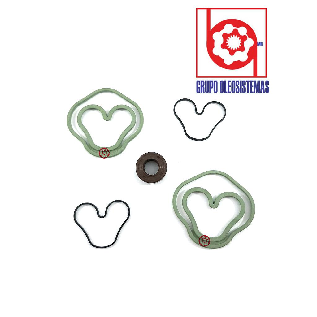 KIT DE SELLOS PARKER PGP502 VITON