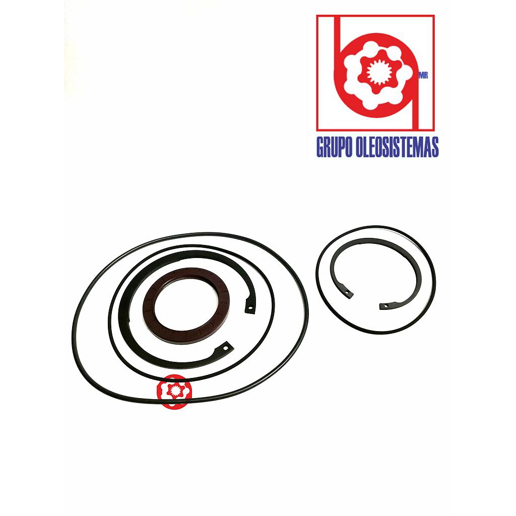 KIT DE SELLOS PARKER VOAK MOTOR F12-110 VITON SEAL