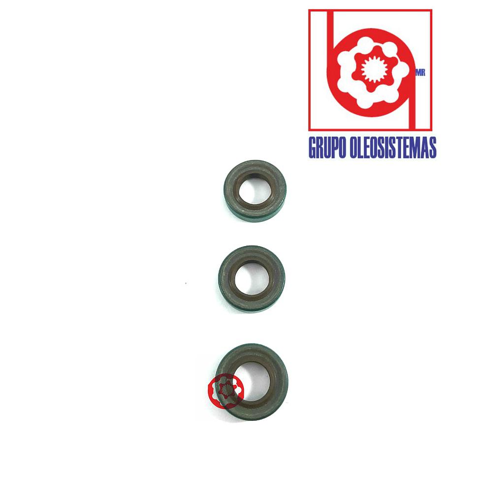 RETEN BOMBA TYRONE 62 X1.12X.25VITON(5/8X1-1/8X1/4