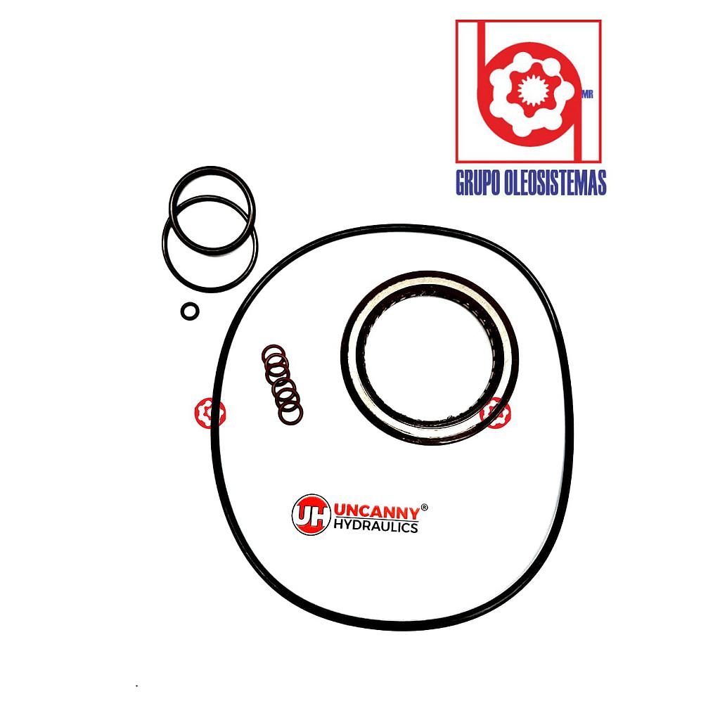 KIT DE SELLOS SENCILLO A6VM107