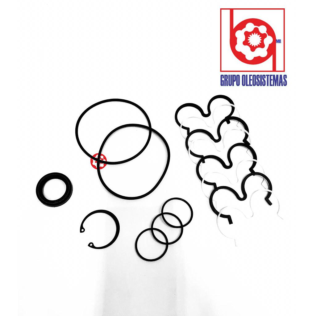 KIT DE SELLOS PARKER PGP620 DOBLE 