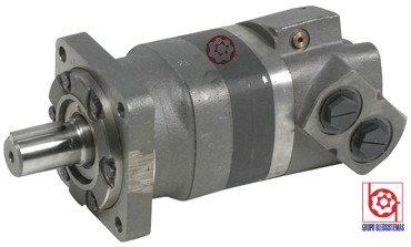MOTOR CHARLYNN SERIE 2000    