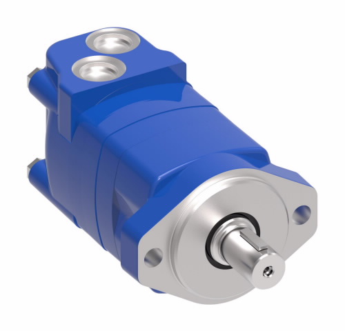 MOTOR CHARLYNN 	306,6 CM3/R [18,71 IN3/R]  2000   14 DIENTES