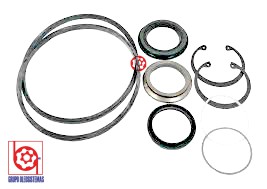 KIT DE SELLOS PARKER
