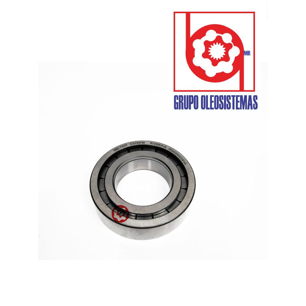 BALERO  FRONTAL REXROTH 50X90X23  A4VG125/140      31/32