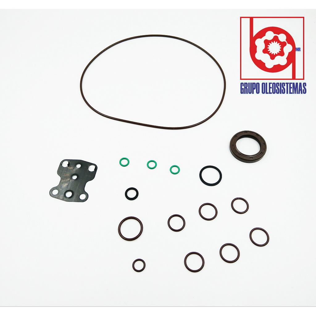KIT DE SELLOS REXROTH A10V45/52 VITON SEAL