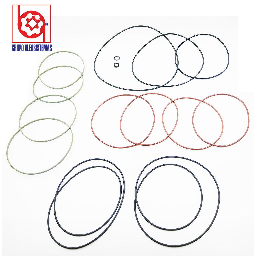 ROTOR PARA A4VG090