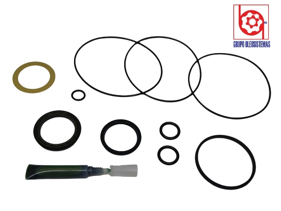 KIT DE SELLOS  OEM DE CHARLYNN MOTOR SERIES T,R,S