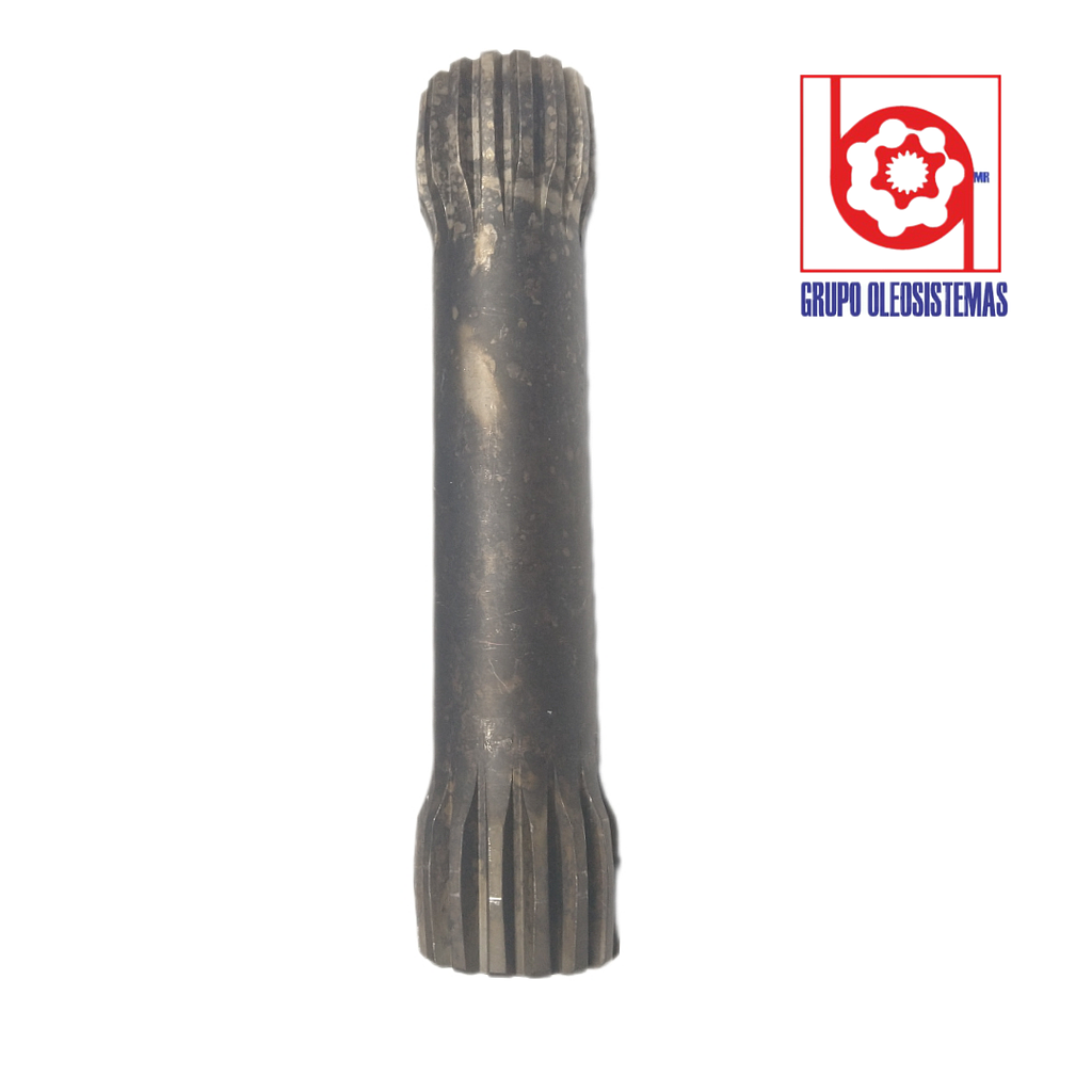 DRIVE LINK O HUESO CHARLYNN 10,000