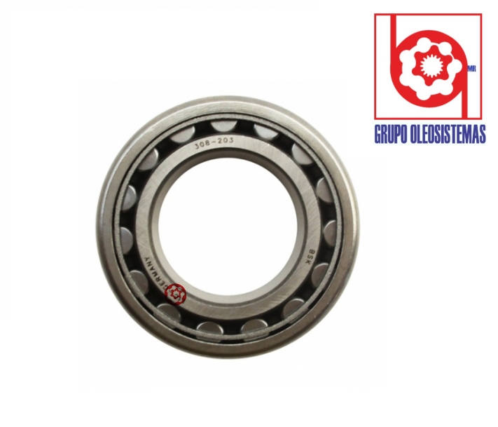 BALERO DE RODILLOS R8ZZC3