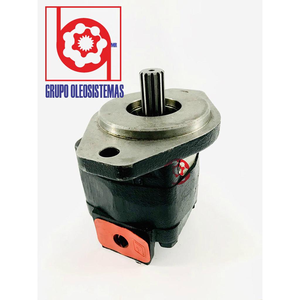 BOMBA ENGRANES COMERCIAL P315 A196EJAB15-65