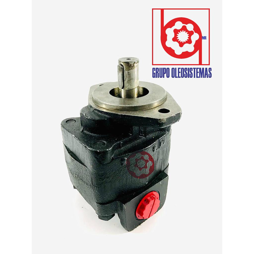 BOMBA ENGRANES COMERCIAL P315 B196* AB17 *65KOAB12-1