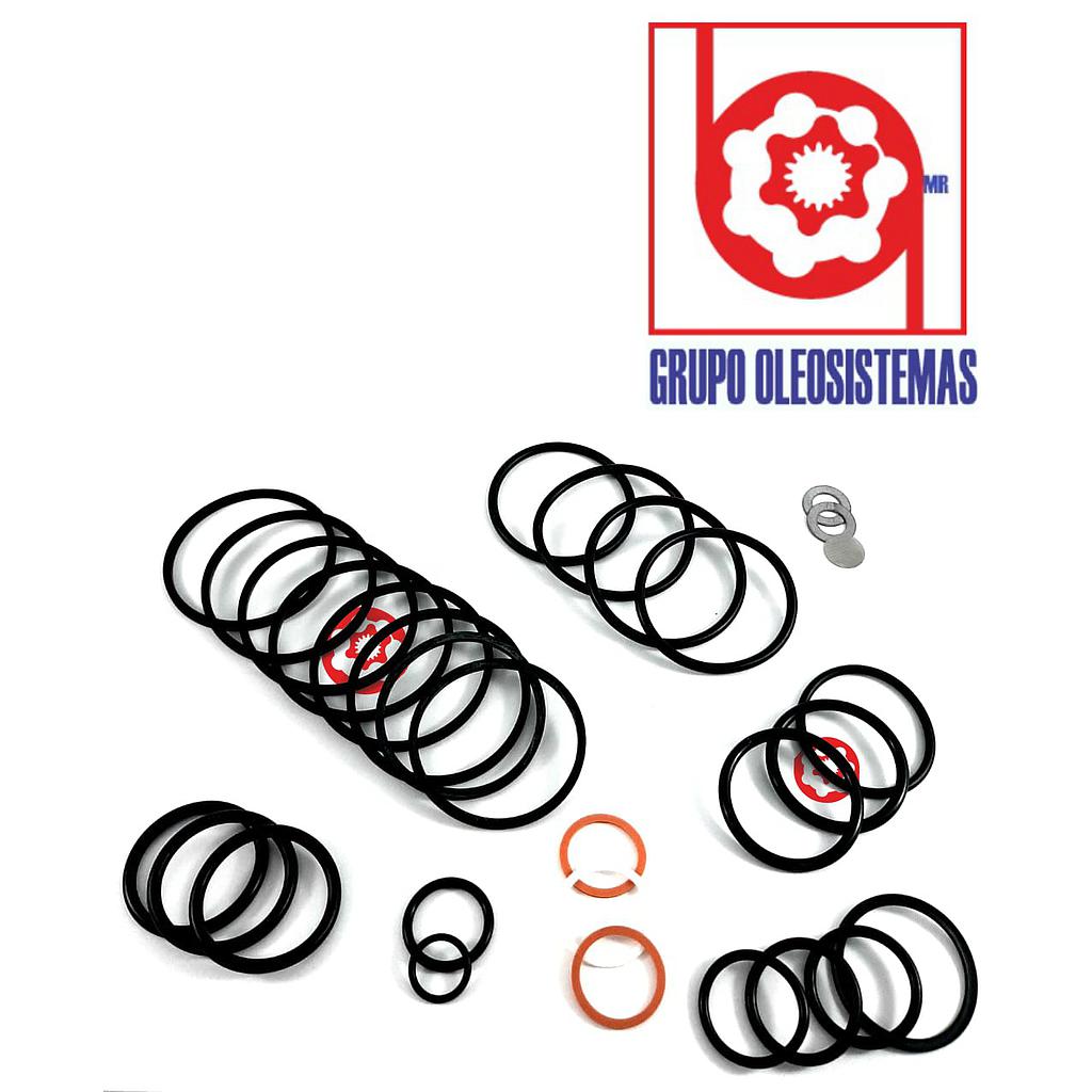 KIT DE SELLOS PARKER DVG80-K-3 COMPLETO
