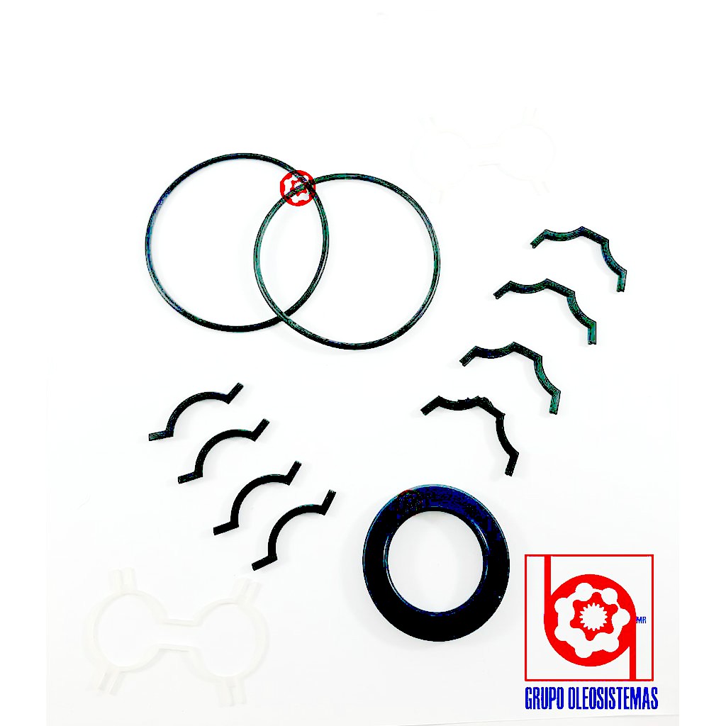 KIT DE SELLOS PARKER MOTOR PGM511 (1GR) SEAL-LIP+BK