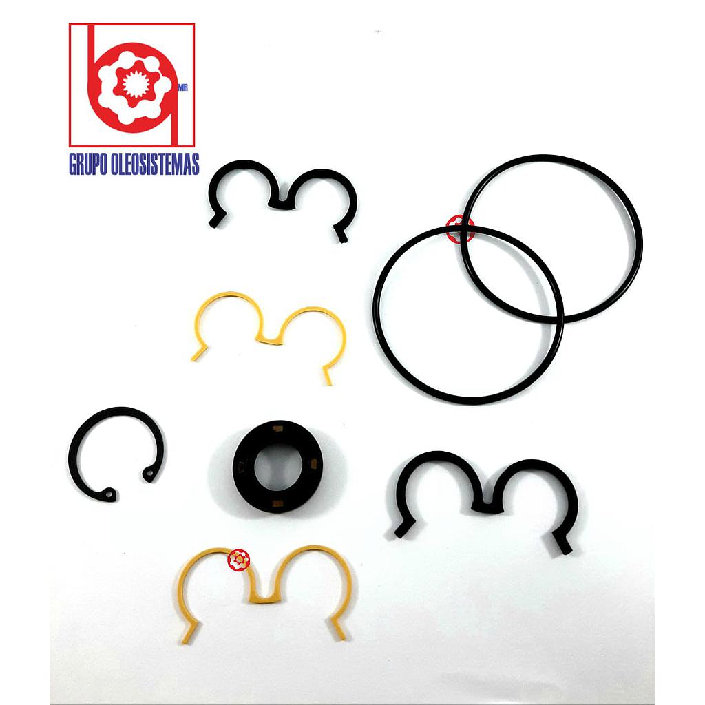 KIT DE SELLOS PARKER PGP 511 BOMBA (1GR)COMPLETO